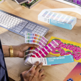 Pantone Color Bridge