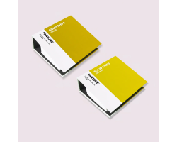 Pantone Solid Chips Set
