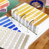 Solid Chips Pantone