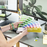 Pantone AssetLibrary